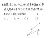 初中數(shù)學新華東師大版八年級上冊12.3微專題 由“角平分線+平行線”得等腰三角形定作業(yè)課件（2025秋）含答案