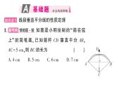 初中數(shù)學(xué)新華東師大版八年級上冊12.4.2 線段垂直平分線作業(yè)課件（2025秋）含答案