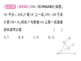 初中數(shù)學新華東師大版八年級上冊12.4.3 角平分線作業(yè)課件（2025秋）含答案