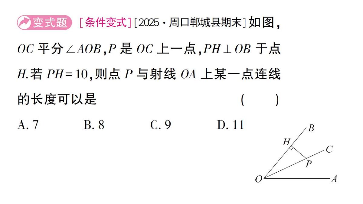 初中数学新华东师大版八年级上册12.4.3 角平分线作业课件（2025秋）第3页