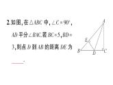 初中數(shù)學新華東師大版八年級上冊12.4.3 角平分線作業(yè)課件（2025秋）含答案