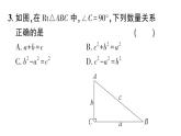 初中數(shù)學(xué)新華東師大版八年級(jí)上冊(cè)13.1.1第1課時(shí) 勾股定理作業(yè)課件（2025秋）