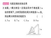 初中數(shù)學(xué)新華東師大版八年級(jí)上冊(cè)13.2第1課時(shí) 勾股定理的實(shí)際應(yīng)用作業(yè)課件（2025秋）