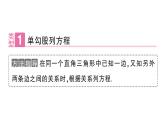 初中數(shù)學(xué)新華東師大版八年級(jí)上冊(cè)13.2專題15 勾股定理中的方程思想作業(yè)課件（2025秋）