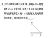 初中數(shù)學(xué)新華東師大版八年級(jí)上冊(cè)13.2專題15 勾股定理中的方程思想作業(yè)課件（2025秋）