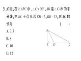初中數(shù)學(xué)新華東師大版八年級(jí)上冊(cè)13.2專題15 勾股定理中的方程思想作業(yè)課件（2025秋）