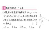 初中數(shù)學(xué)新華東師大版八年級(jí)上冊(cè)13.2專題16 利用勾股定理解決折疊問(wèn)題作業(yè)課件（2025秋）