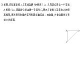 初中數(shù)學(xué)新華東師大版八年級(jí)上冊(cè)第13章 章末復(fù)習(xí)題作業(yè)課件（2025秋）