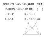 初中數(shù)學(xué)新華東師大版八年級(jí)上冊(cè)階段小測(cè)（六）（第12章）作業(yè)課件（2025秋）