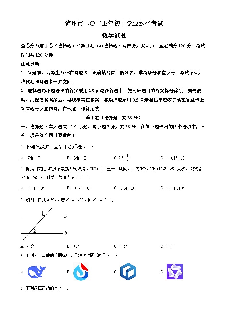 2025年四川省泸州市中考数学试题（原卷版）学业水平考试第1页