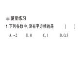初中數(shù)學(xué)新華東師大版八年級上冊10.1.1 平方根課堂作業(yè)課件（2025秋）