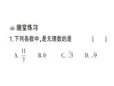 初中數(shù)學(xué)新華東師大版八年級上冊10.2 實數(shù)課堂作業(yè)課件（2025秋）含答案