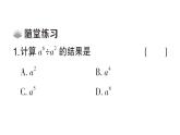 初中數(shù)學(xué)新華東師大版八年級上冊11.1.4 同底數(shù)冪的除法課堂作業(yè)課件（2025秋）含答案