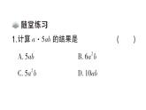 初中數學新華東師大版八年級上冊11.2.1 單項式與單項式相乘課堂作業(yè)課件（2025秋）含答案