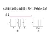 初中數(shù)學(xué)新華東師大版八年級上冊11.5第1課時 因式分解及提公因式法分解因式課堂作業(yè)課件（2025秋）含答案