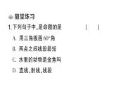 初中數(shù)學(xué)新華東師大版八年級(jí)上冊(cè)12.1.1命題課堂作業(yè)課件（2025秋）含答案