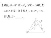 初中數(shù)學(xué)新華東師大版八年級(jí)上冊(cè)12.2.2邊角邊課堂作業(yè)課件（2025秋）含答案