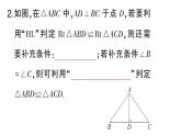 初中數(shù)學(xué)新華東師大版八年級(jí)上冊(cè)12.2.5斜邊直角邊課堂作業(yè)課件（2025秋）含答案