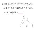 初中數(shù)學(xué)新華東師大版八年級(jí)上冊(cè)12.2.5斜邊直角邊課堂作業(yè)課件（2025秋）含答案