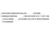初中數(shù)學(xué)新華東師大版八年級(jí)上冊(cè)14.1.1 數(shù)據(jù)有用嗎課堂作業(yè)課件（2025秋）含答案