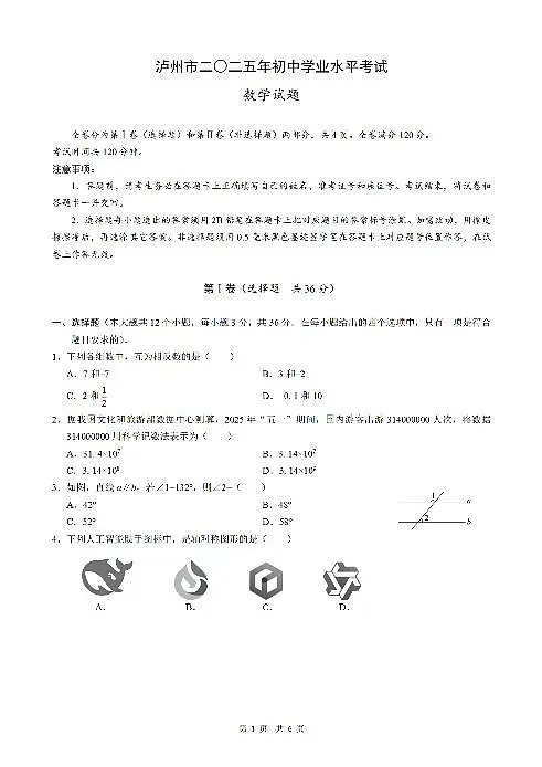 2025《四川省泸州市初中学业水平考试》数学试卷第1页