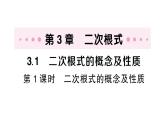初中數(shù)學(xué)新湘教版八年級(jí)上冊(cè)3.1第1課時(shí) 二次根式的概念及性質(zhì)作業(yè)課件（2025秋）