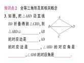 初中數(shù)學新湘教版八年級上冊4.3.1 認識全等三角形作業(yè)課件（2025秋）含答案