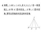 初中數(shù)學新湘教版八年級上冊4.3.1 認識全等三角形作業(yè)課件（2025秋）含答案