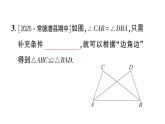 初中數(shù)學新湘教版八年級上冊4.3.2 全等三角形的判定定理（邊角邊）作業(yè)課件（2025秋）含答案