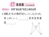 初中數(shù)學新湘教版八年級上冊4.3.3 全等三角形的判定定理（角邊角、角角邊）作業(yè)課件（2025秋）含答案