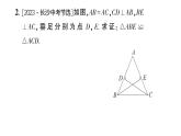 初中數(shù)學新湘教版八年級上冊4.3專題13 全等三角形的基本模型作業(yè)課件（2025秋）含答案