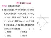 初中數(shù)學新湘教版八年級上冊4.3.5 全等三角形的應用作業(yè)課件（2025秋）含答案