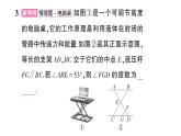 初中數(shù)學新湘教版八年級上冊4.3.5 全等三角形的應用作業(yè)課件（2025秋）含答案