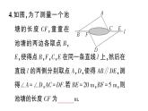 初中數(shù)學新湘教版八年級上冊4.3.5 全等三角形的應用作業(yè)課件（2025秋）含答案