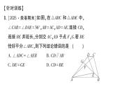 初中數學新湘教版八年級上冊4.5專題18 與等腰三角形有關的“手拉手”模型作業(yè)課件（2025秋）含答案