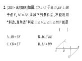 初中數(shù)學新湘教版八年級上冊5.3 直角三角形全等的判定作業(yè)課件（2025秋）含答案