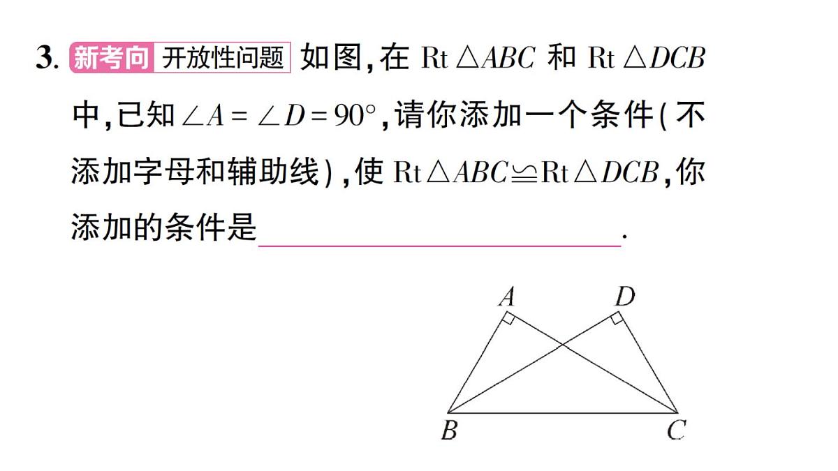 初中数学新湘教版八年级上册5.3 直角三角形全等的判定作业课件（2025秋）第4页