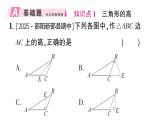 初中數(shù)學(xué)新湘教版八年級上冊4.1第2課時 三角形的高、角平分線和中線作業(yè)課件（2025秋）