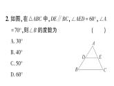 初中數(shù)學(xué)新湘教版八年級上冊4.1第3課時 三角形的內(nèi)角和作業(yè)課件（2025秋）