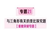 初中數(shù)學(xué)新湘教版八年級(jí)上冊(cè)4.6專題21 與三角形有關(guān)的類比探究題作業(yè)課件（2025秋）