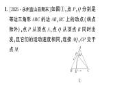 初中數(shù)學(xué)新湘教版八年級(jí)上冊(cè)4.6專題21 與三角形有關(guān)的類比探究題作業(yè)課件（2025秋）