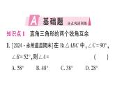初中數(shù)學(xué)新湘教版八年級上冊5.1第1課時 直角三角形的性質(zhì)和判定作業(yè)課件（2025秋）