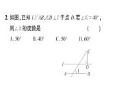初中數(shù)學(xué)新湘教版八年級上冊5.1第1課時 直角三角形的性質(zhì)和判定作業(yè)課件（2025秋）