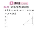 初中數(shù)學(xué)新湘教版八年級上冊5.1第2課時 含30°角的直角三角形的性質(zhì)及應(yīng)用作業(yè)課件（2025秋）