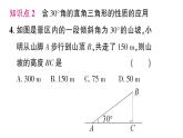 初中數(shù)學(xué)新湘教版八年級上冊5.1第2課時 含30°角的直角三角形的性質(zhì)及應(yīng)用作業(yè)課件（2025秋）