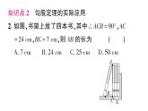 初中數(shù)學(xué)新湘教版八年級上冊5.2第2課時 勾股定理的應(yīng)用作業(yè)課件（2025秋）
