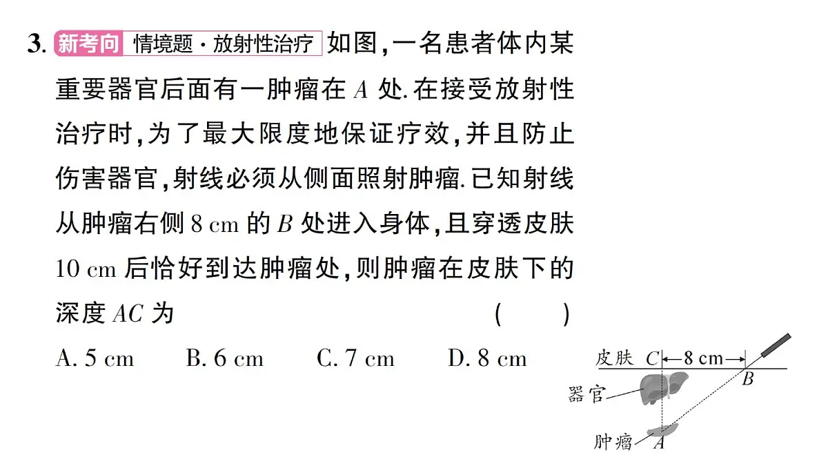 初中数学新湘教版八年级上册5.2第2课时 勾股定理的应用作业课件（2025秋）第4页