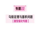 初中數(shù)學(xué)新湘教版八年級(jí)上冊(cè)5.2專題22 勾股定理與面積問(wèn)題作業(yè)課件（2025秋）