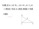 初中數(shù)學(xué)新湘教版八年級上冊5.2專題23 利用勾股定理解決最短路徑問題作業(yè)課件（2025秋）