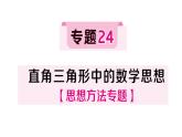 初中數(shù)學(xué)新湘教版八年級上冊5.4專題24 直角三角形中的數(shù)學(xué)思想作業(yè)課件（2025秋）